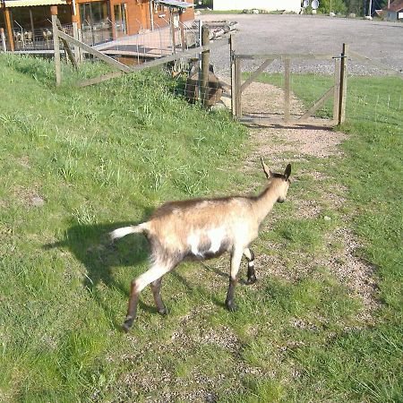 Les Gites De La Bergerie Xonrupt-Longemer Dış mekan fotoğraf